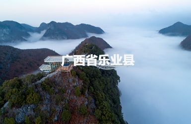 樂(lè)業(yè)縣人大