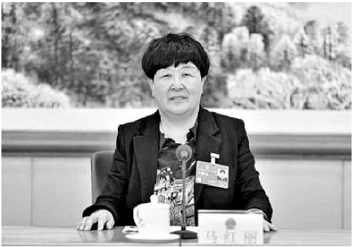  全國人大代表馬紅麗：統(tǒng)籌推進(jìn)黃河中游發(fā)展示范區(qū)建設(shè)