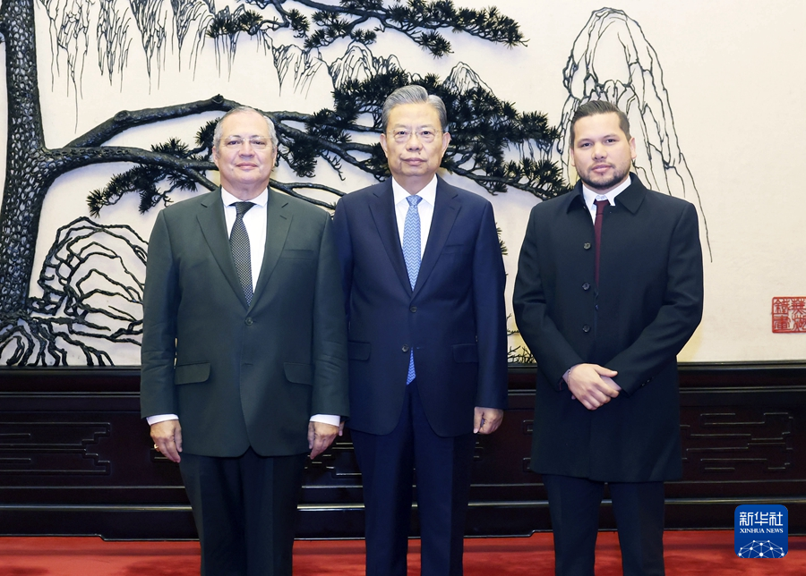  趙樂際會見哥倫比亞國會主席兼參議長納梅和眾議長卡列