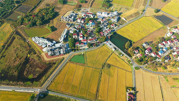 江蘇人大出臺指導(dǎo)意見強(qiáng)化鄉(xiāng)鎮(zhèn)國有和集體資產(chǎn)管理監(jiān)督