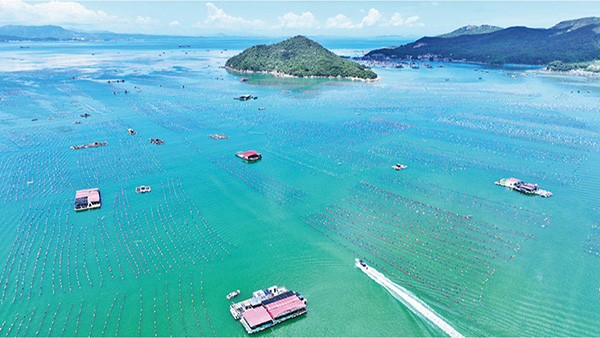 深化立法領域改革